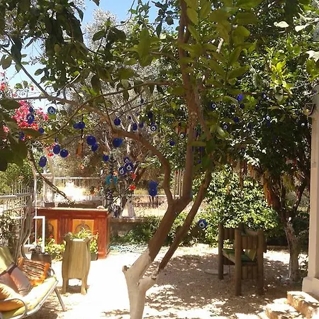 Hotel Kaptan Yesilvadi Doga Oteli